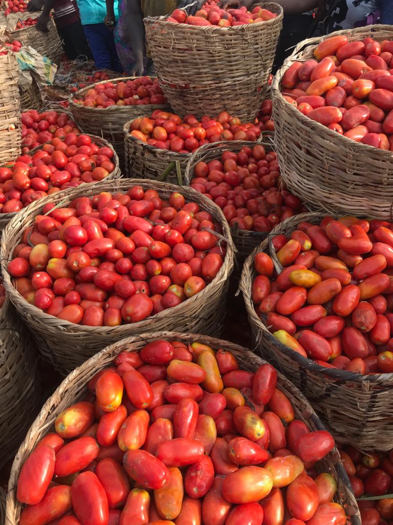 Babat2011's tweet photo. Due to the current situation, it has been difficult selling off her produce. She harvests 30-40 baskets every week and she is looking for RELIABLE buyers for the next few weeks. The farm is in Kano and she can deliver it in Lagos within 2 days.

Kindly retweet!! https://t.co/vgCfzxRT5n