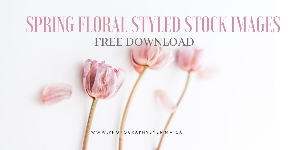 PhotosbyEmmaH's tweet photo. Calling Businesses! Download these for #FREE - for personal/commercial use, new set of styled photos every 4 months! #freedownload #styledstock #smallbusiness #spring 
https://t.co/McbTRzmfqp https://t.co/hemaaA1XAo