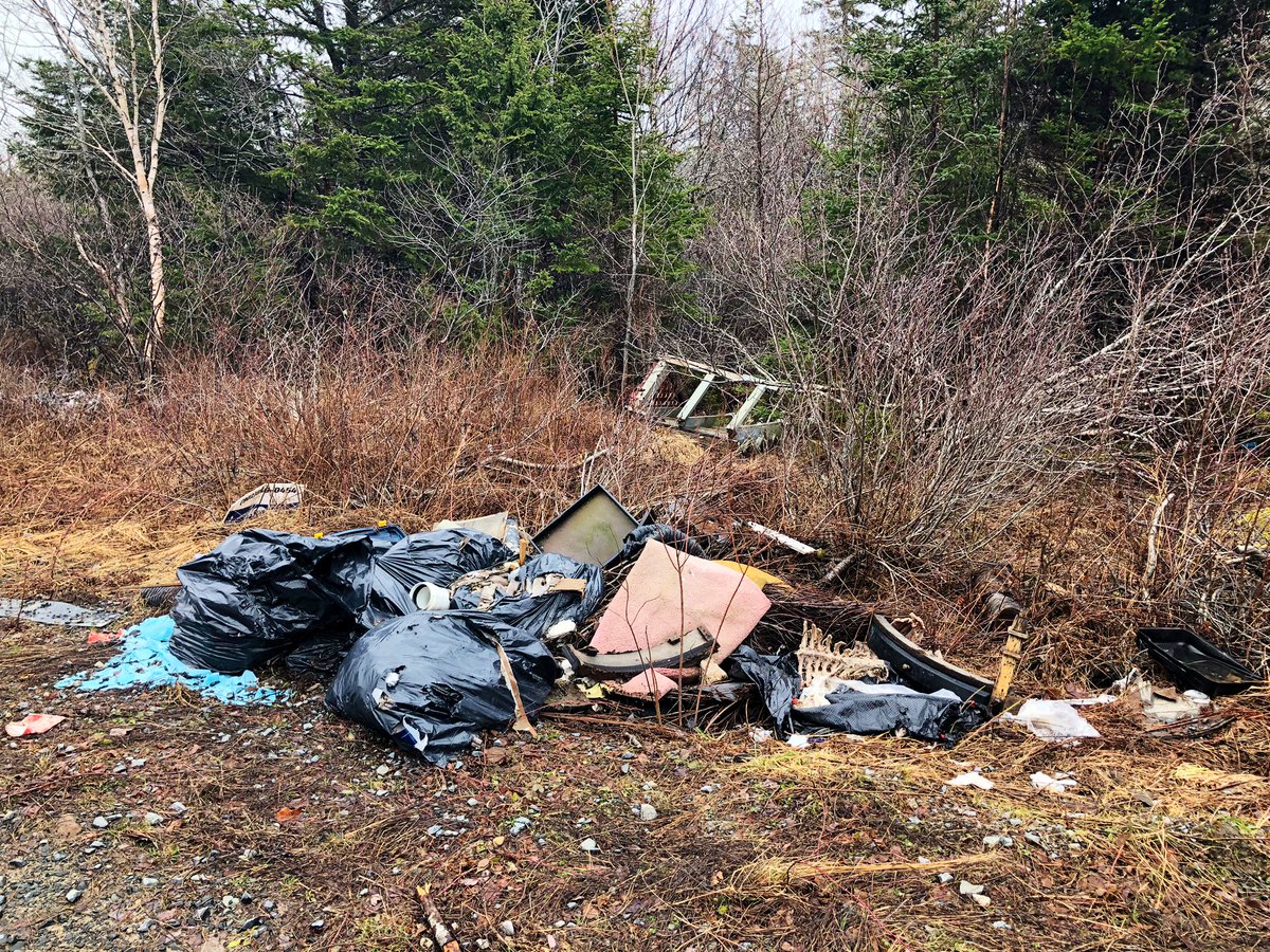 AshleyJVField's tweet image. In non COVID-19-related news: this is gross. 

I went to interview a business owner in #Harrietsfield for an unrelated story, and when driving to his shop on Club Rd., this is what you see. He tells me this is an ongoing issue.