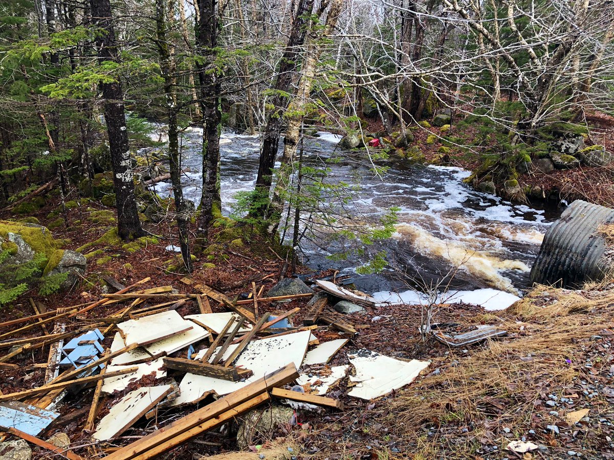 AshleyJVField's tweet image. In non COVID-19-related news: this is gross. 

I went to interview a business owner in #Harrietsfield for an unrelated story, and when driving to his shop on Club Rd., this is what you see. He tells me this is an ongoing issue.