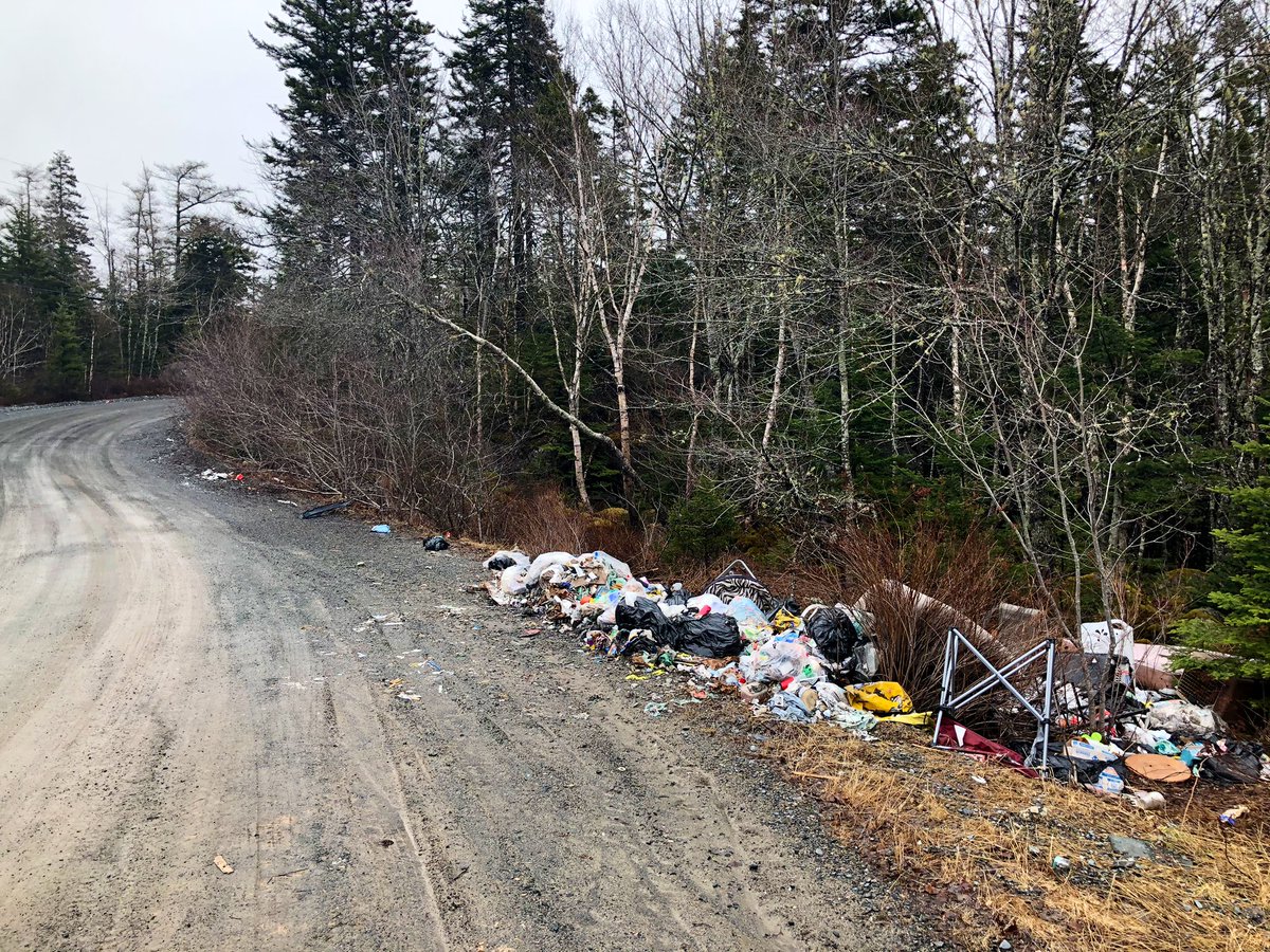 AshleyJVField's tweet image. In non COVID-19-related news: this is gross. 

I went to interview a business owner in #Harrietsfield for an unrelated story, and when driving to his shop on Club Rd., this is what you see. He tells me this is an ongoing issue.