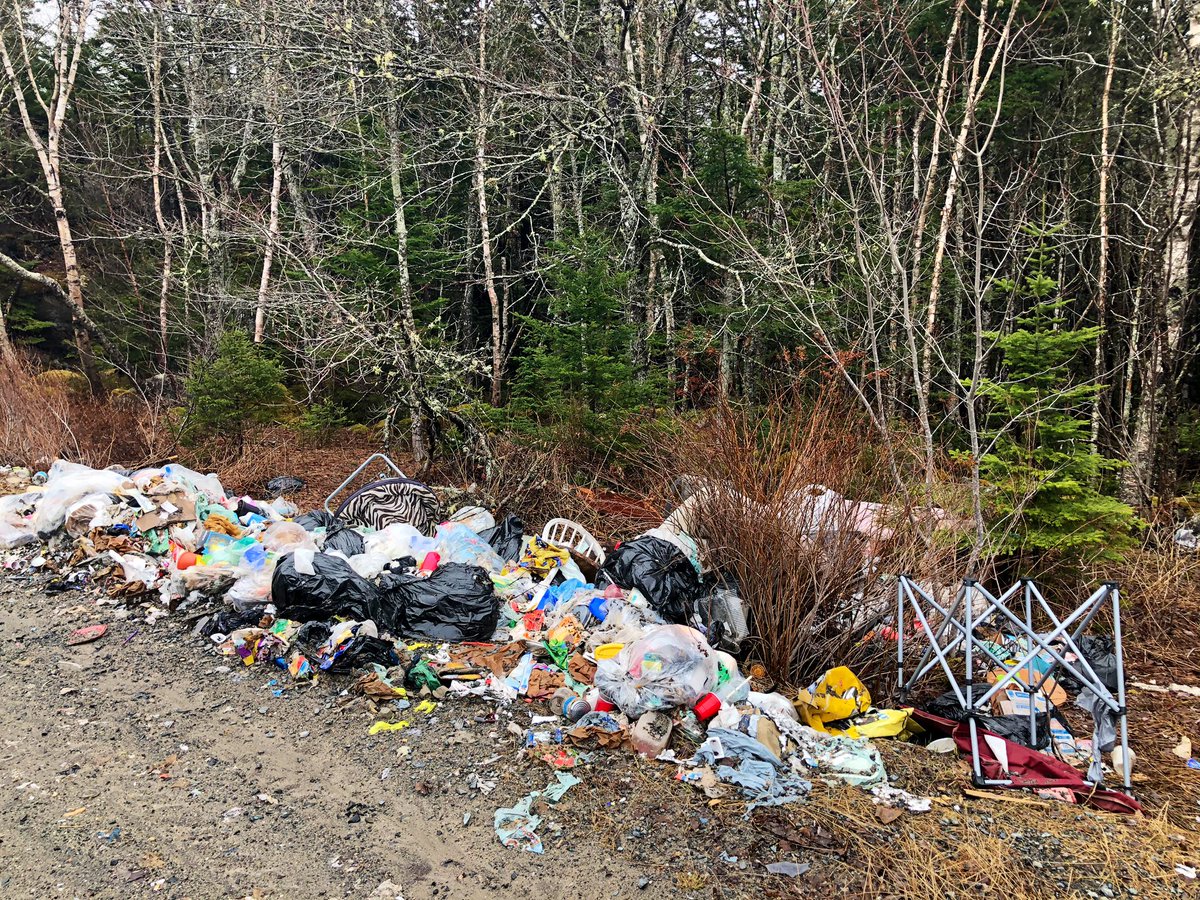 AshleyJVField's tweet image. In non COVID-19-related news: this is gross. 

I went to interview a business owner in #Harrietsfield for an unrelated story, and when driving to his shop on Club Rd., this is what you see. He tells me this is an ongoing issue.