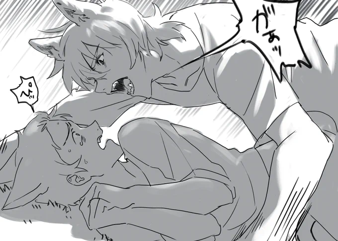 🐺keith×🐱lance 