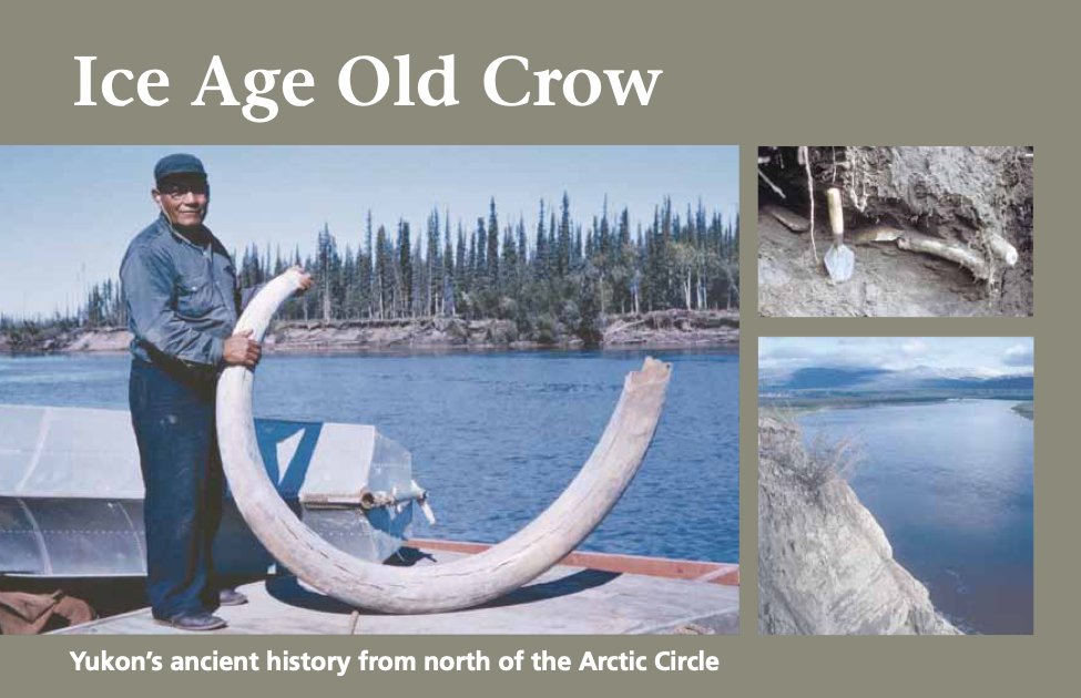 These stories, and more, are included in our short popular booklet Ice Age Old Crow that Grant Zazula (Yukon Palaeontologist) and I put together a few years ago. None of this though without the cooperation and assistance of the Vuntut Gwitchin --end http://emrlibrary.gov.yk.ca/Tourism/archaeology%20and%20palaeontology%20booklets/ice-age-old-crow-2013.pdf