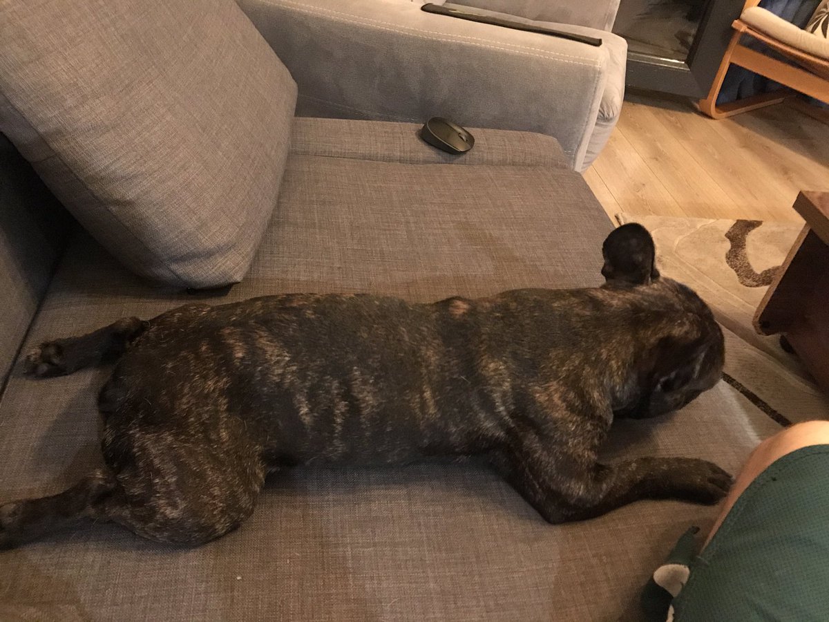 Bu yatışın adı sırt sevgisi.Sırtımı sev gaz atıcam demek.Bilen bilir ötenazi etkisi yapıyor.