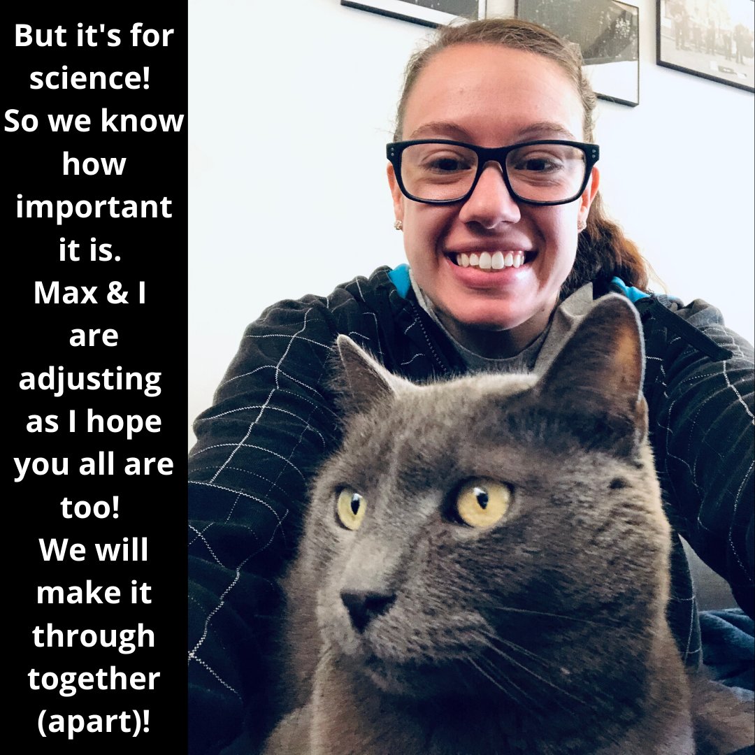 slanews's tweet photo. This afternoon, Ms. Sessa and Max the Cat remind us that all of these new habits we're getting used to to are all scientifically proven to help the world get healthy... even if our pets are very confused by how much we're around the house! #SLACares #SLA https://t.co/knsei53qno