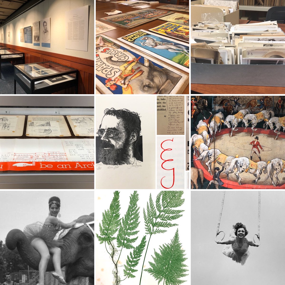 ISUMilnerSPC's tweet photo. There are a lot of different paths into the archives field--just hang out at an archivist conference and there are probably as many different career stories as there are people in the room.  

#Archive30 #ArchivePath. https://t.co/ibJd9QznEX