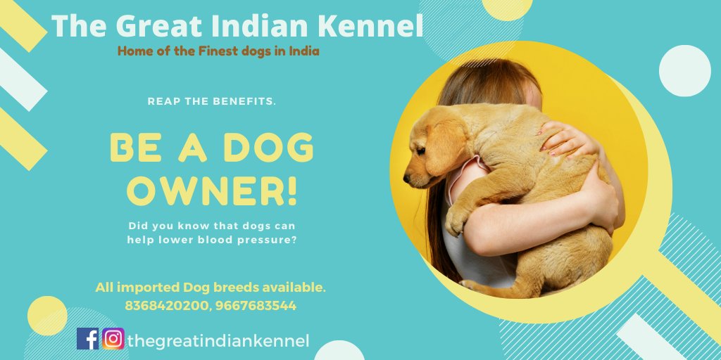 GrtIndianKennel's tweet photo. Puppies available for sale. #bestdogs #importeddogs #finestdogs #dogbreeder #puppiesforsale #purebreeds #dogsoftwitter #doglovers #dogowners #doglove https://t.co/ByNrs3fJ7l