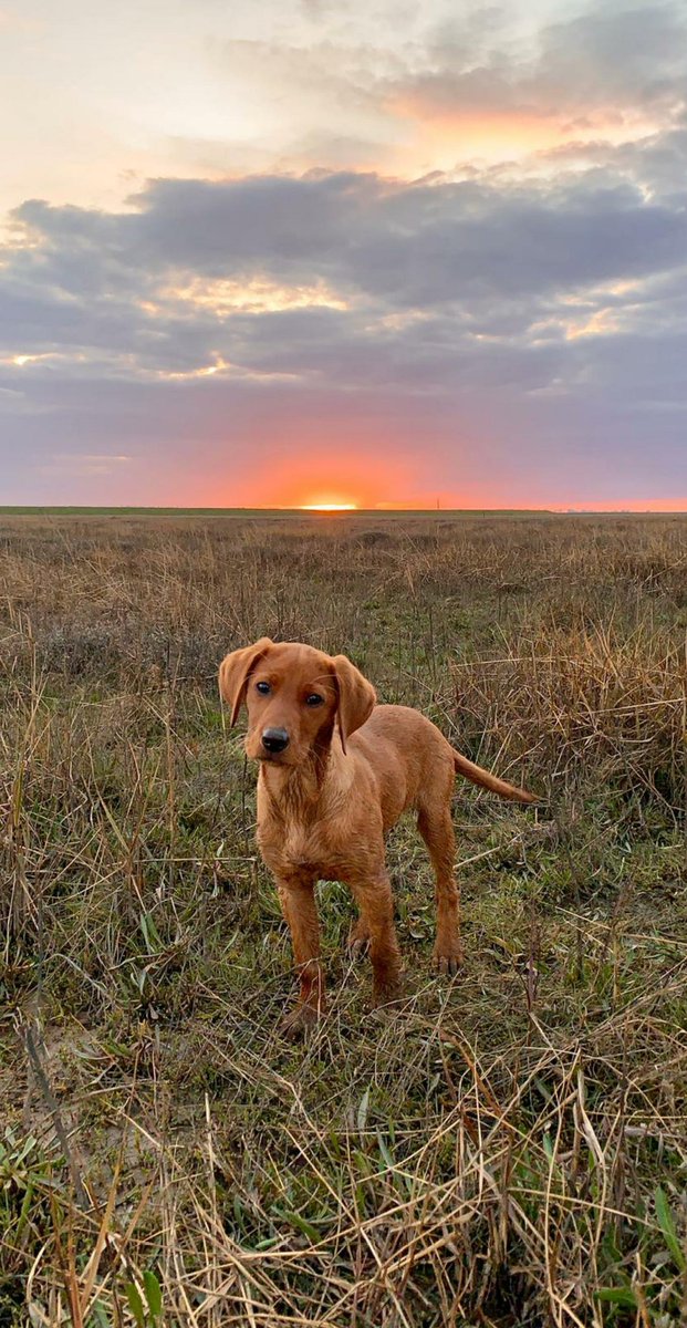 Freddie Hay tweet media