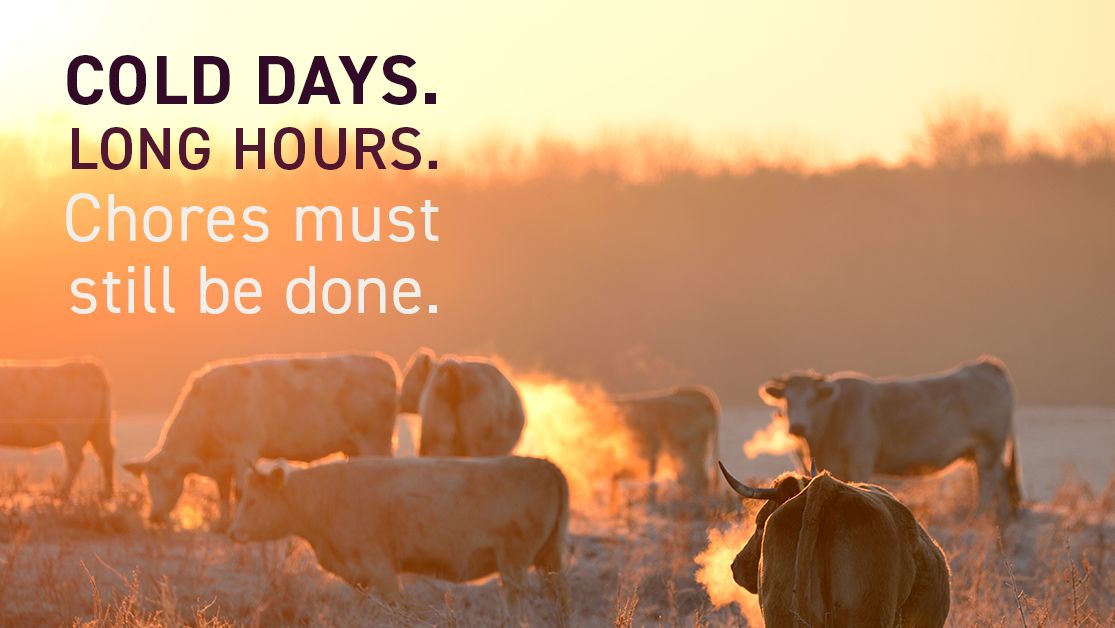 Balance4Ward's tweet photo. Here’s to all the cattlemen out there putting in those long hours. We know the job isn’t done 'til the job gets done. https://t.co/aVOps9Mi5s