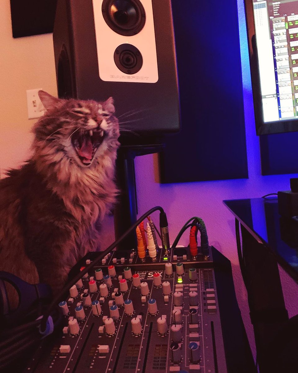 It's Friday, it's been a long week, and we've got some #studiodoggos and #studiokitties to catch up on! Use these hashtags on pics of your furry friends helping you in the studio and we'll be sure to post them.⁠