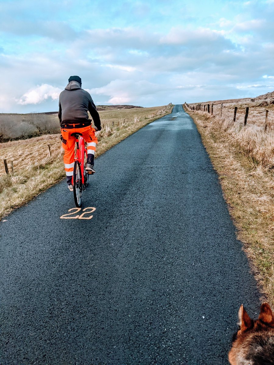 Legend_dray's tweet photo. Today I'm grateful ... it's Friday (yeha) 😁😁, for evening strolls/ bike rides with my two favs 💕 and for wise and hilarious friends scattered everywhere (Home- Belfast- Down- Dublin- Australia to mention a few) 🌍 #keepingpositive #mrsbrightside #happy #connected2whatmatters https://t.co/Qte9wDRmA3