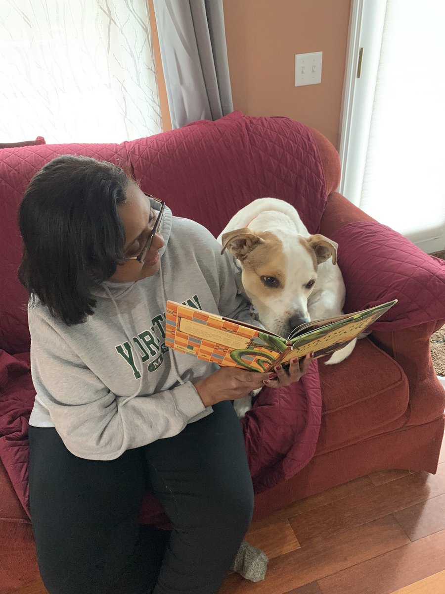 MESMSHorowitz's tweet photo. Furry Friend Friday! Reading to my dog, Kizmo! Thank you for participating in our Virtual Spirit Week Strang Eagles! #StrangStrong @LibraryMESMS @mesmspta @RonHattar @YCSDloshea @YorktownCSD https://t.co/ahg6ng1n8O