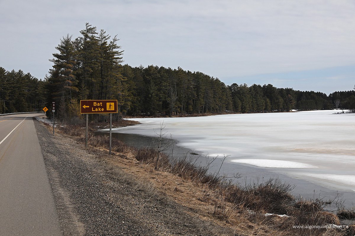 algonquinoutfit's tweet photo. This is a good sign, although Algonquin Park remains closed to the public, The Friends of @AlgonquinPark have posted their first ice out report of the 2020 spring season. #AlgonquinPark #IceOut2020 - https://t.co/Vv36lqBtP7 https://t.co/g0RAoJxFW1