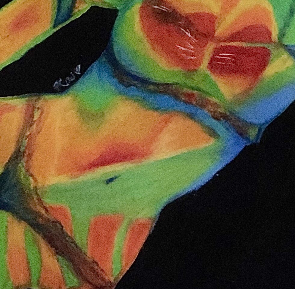 nehmen Feuchtigkeit Allgemeines thermal photo filter Offenlegen Adverb