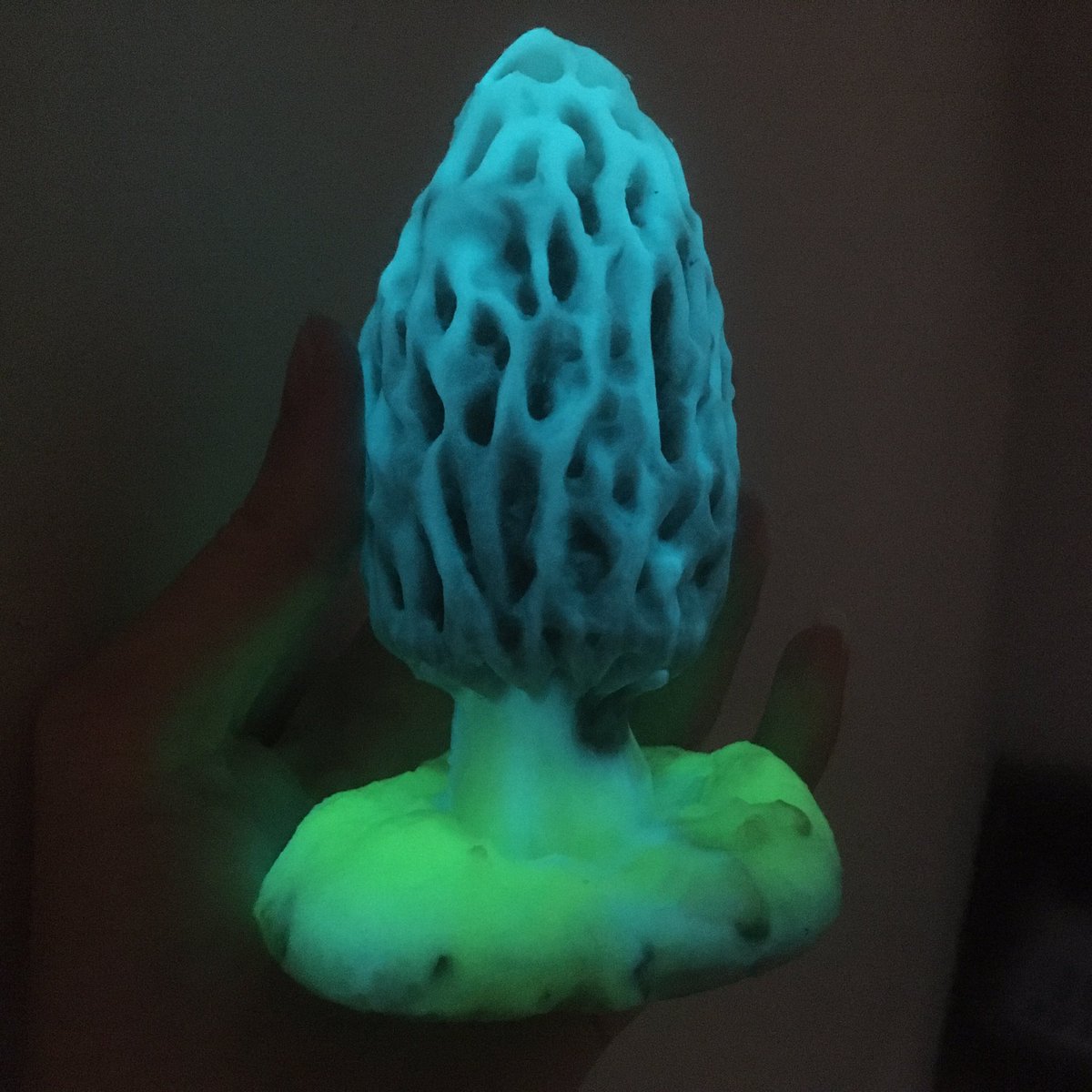squishy_toys's tweet photo. AAAAAAHHHHHHH!!! 
I love glow powder. 
#glowing #morel https://t.co/wF1g7Xkj44