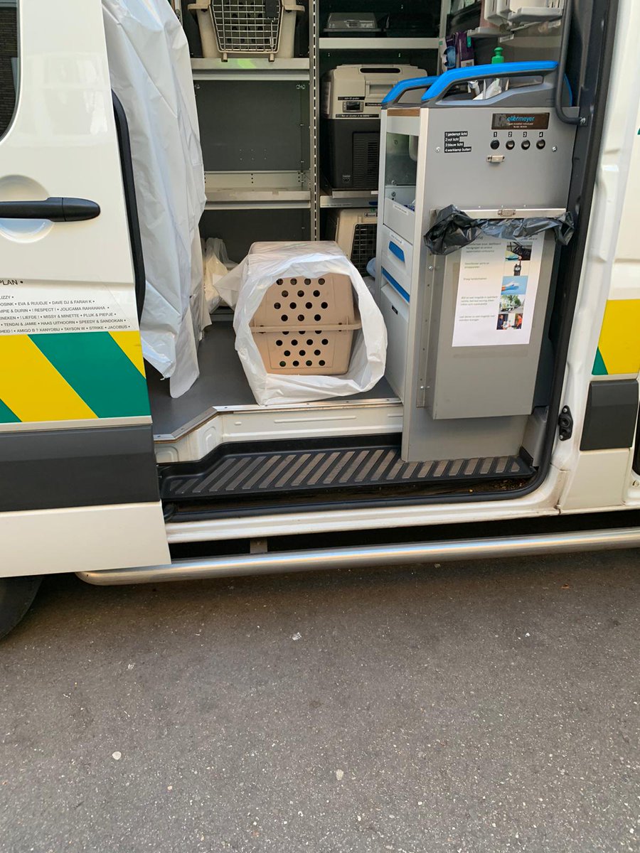 DierenAmsterdam's tweet image. Gemengde gevoelens: Vanavond kat vervoerd i.s.m #brandweer omdat baasje naar zknhs moest #Corona Triest en fijn dat wij dit kunnen en mogen doen, cruciaal zelfs ons inziens. Traumatisch voor mens en dier, surrealistisch #Beterschap #SamenvoorDieren #DOA petities.nl/petitions/dier…