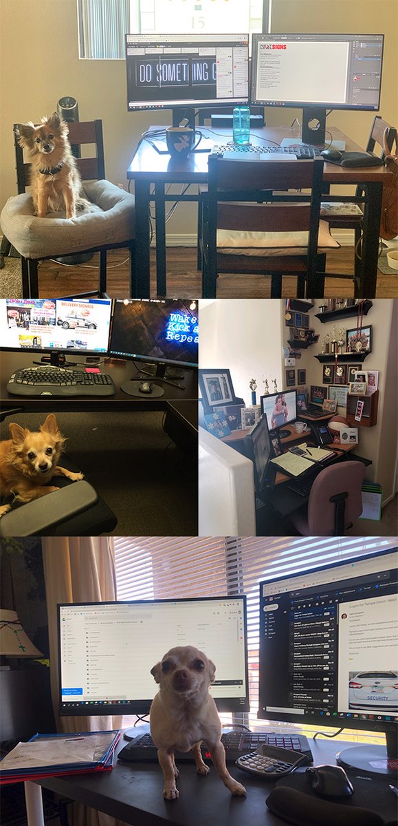 windigosigns's tweet photo. Our work at home spaces.
#workathome #weareopen https://t.co/fDuQ87vIZO