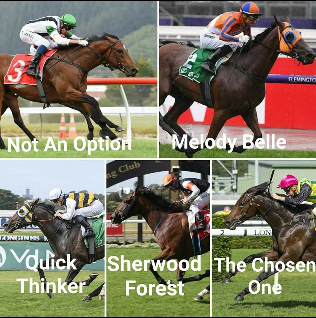 MarkANowell's tweet photo. Big day for kiwi trained runners @royalrandwick today.
Melody Belle @TeAkauRacing in the Doncaster Mile.
Quick Thinker @ForsmanAndrew and Sherwood Forest @PikeRacing in the Australian Derby.
The Chosen One in Chairmans.
Not An Option @CambridgeStud in the Kindergarten Stakes https://t.co/omSRldb12Z