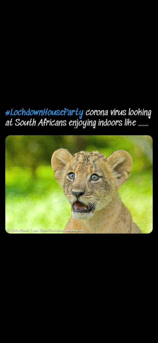 Electrohuly's tweet photo. Zakes     #LockdownHouseParty https://t.co/Arj5ddnVQG