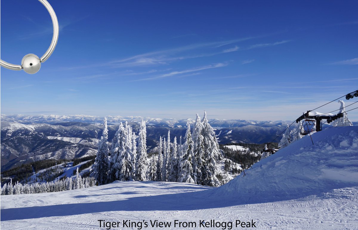 Silver Mountain tweet media