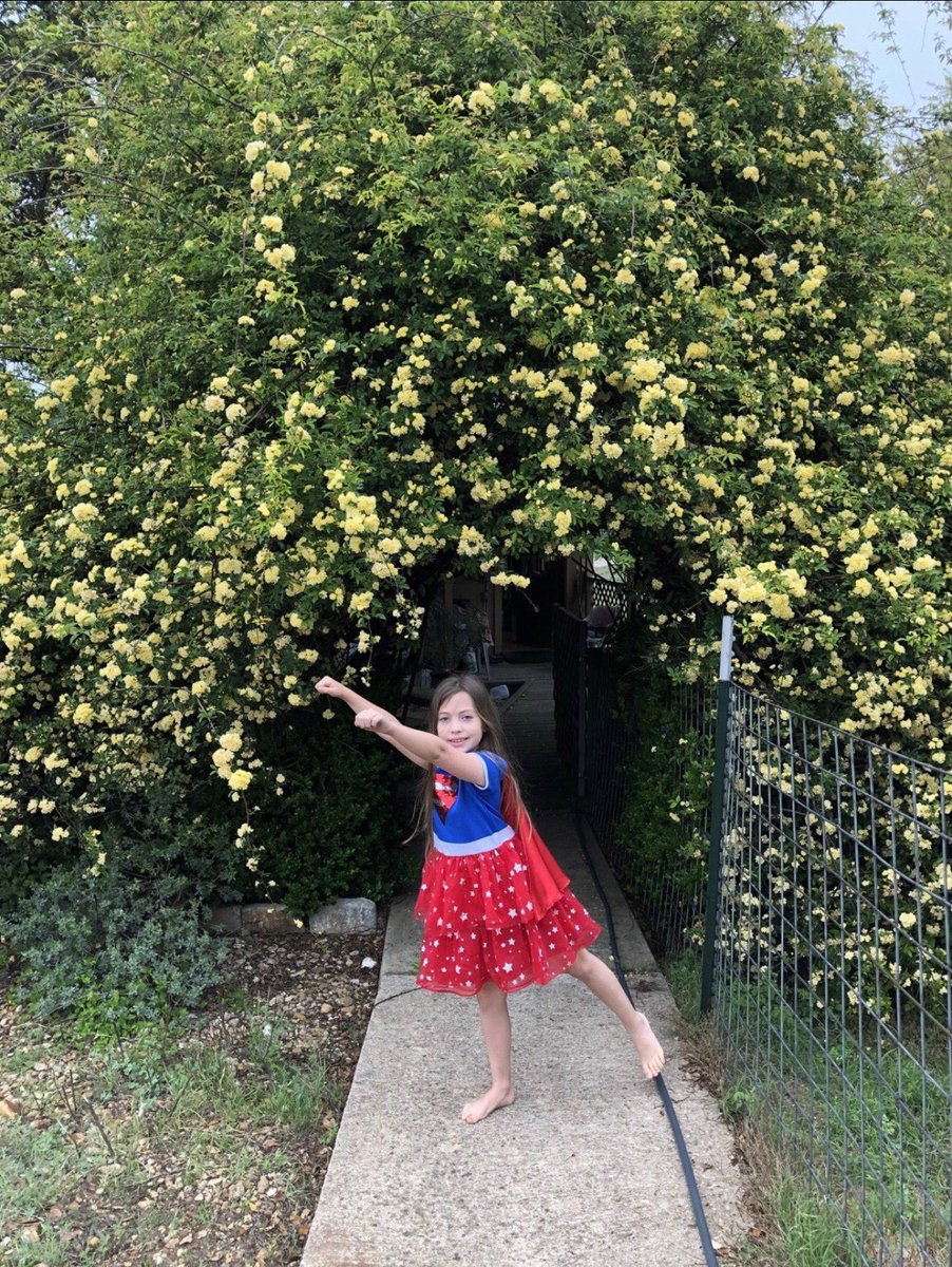 FPSBillieKids's tweet image. Look at our Super Hero friends working hard and having fun while they do it!  #FPSPride #FPSSpiritWeek #SuperHeroDay #SuperStudents #TeamMetzger