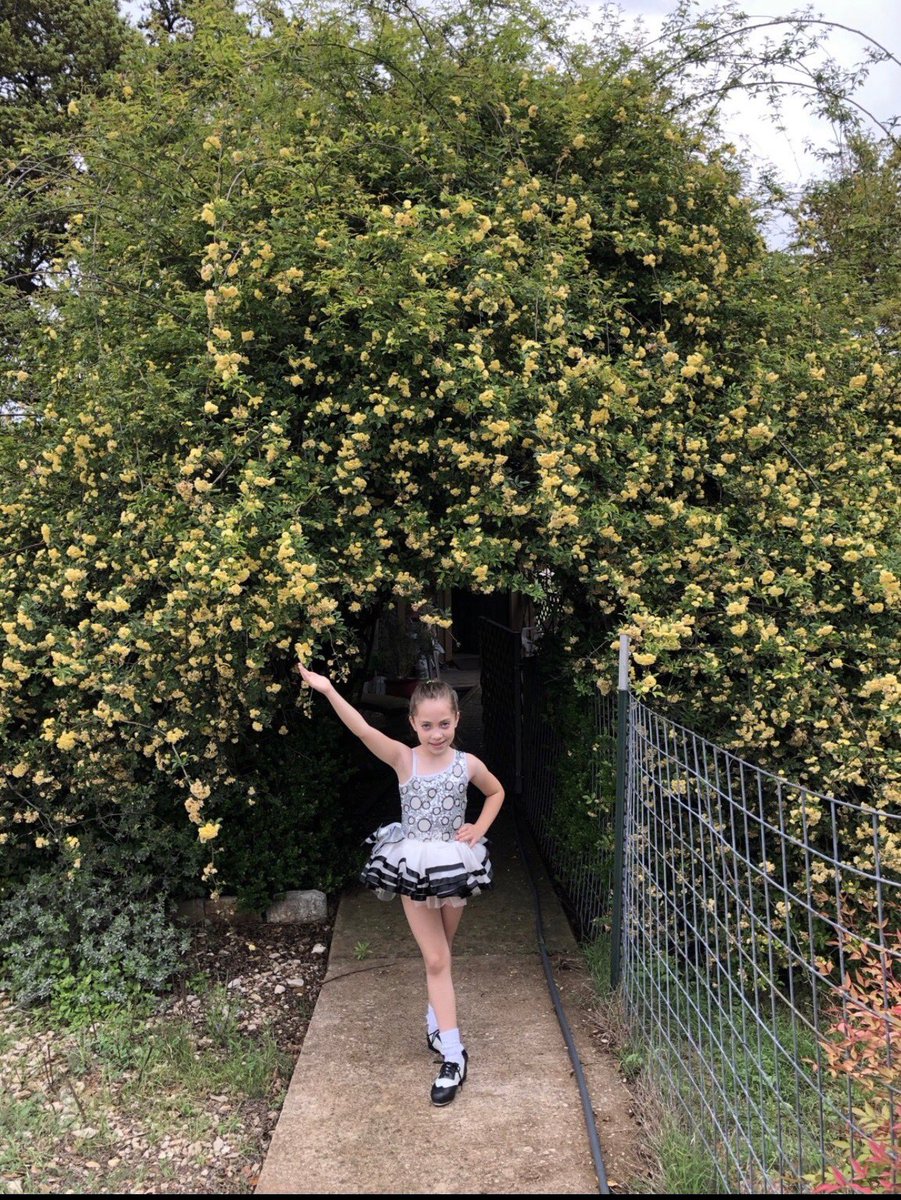 FPSBillieKids's tweet image. It’s Friday and we are wrapping up our first Spirit Week with Talent Day!   Our future is so bright we have to wear shades! 😎 #FPSPride #FPSSpiritWeek 🐏#TalentDay #WeMissOurKids ❤️ #TeamMetzger