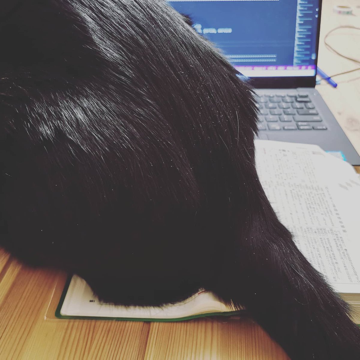 ট ইট র Kanji Oboe Kanji Oboe N3 309 342 90 Travail Interrompu Kanji Kanjioboe Japon Japonais Jlpt N3 Apprendre Japan Japanese Japanesestyle Dictionnaire Manga Hiragana Katakana Cartes Flashcard Workinprogress Freetime