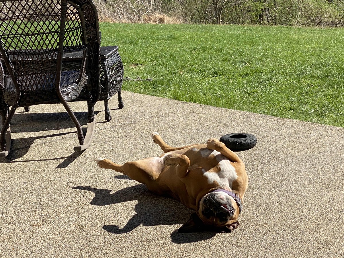 KoziInfo's tweet photo. Thank God itโs Friday! #TGIF #Inthistogeter #socialdistance #Pittsburgh #PittsburghTech #suninPittsburgh? #besafe https://t.co/VQQPySbD46