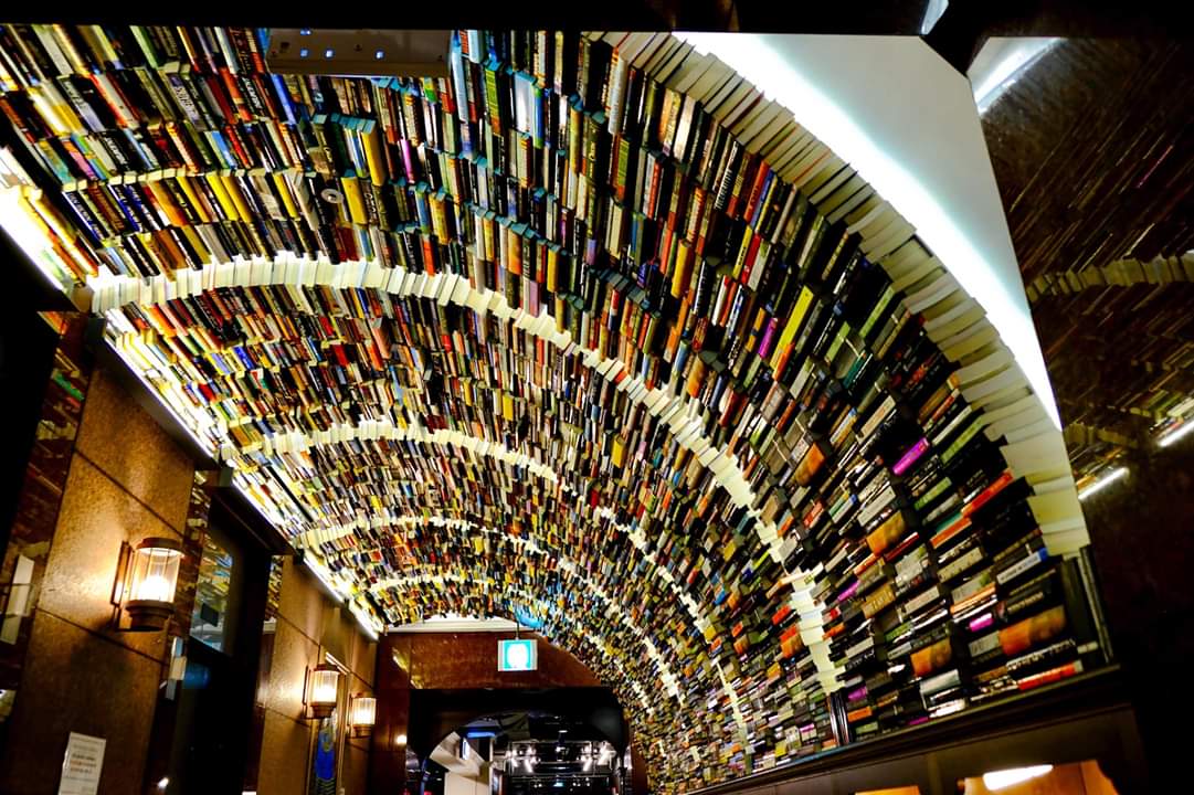 tkdistanbulsube's tweet photo. Dünyadan örnekler.
Kütüphane Haftamız Kutlu Olsun🎉
Arc N Book!
Güney Kore Seul’de bulunan bir kütüphane.Kütüphanede tünel şeklindeki geçitlerden geçerken,duvarlara monte edilmiş raflara yerleştirilmiş kitaplar göze çarpıyor.
instagram:limitlesss_world
#56KH
#kütüphanehaftası https://t.co/3MTOqxzRuq