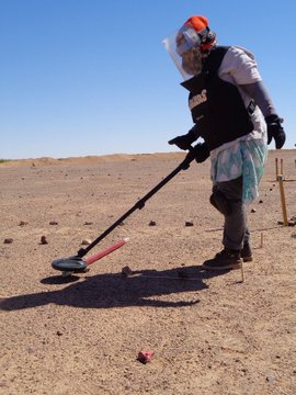 View image on Twitter