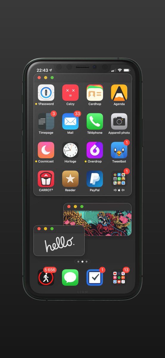 Zooropalg's tweet image. Tonight #iPhoneXSMax #ios134