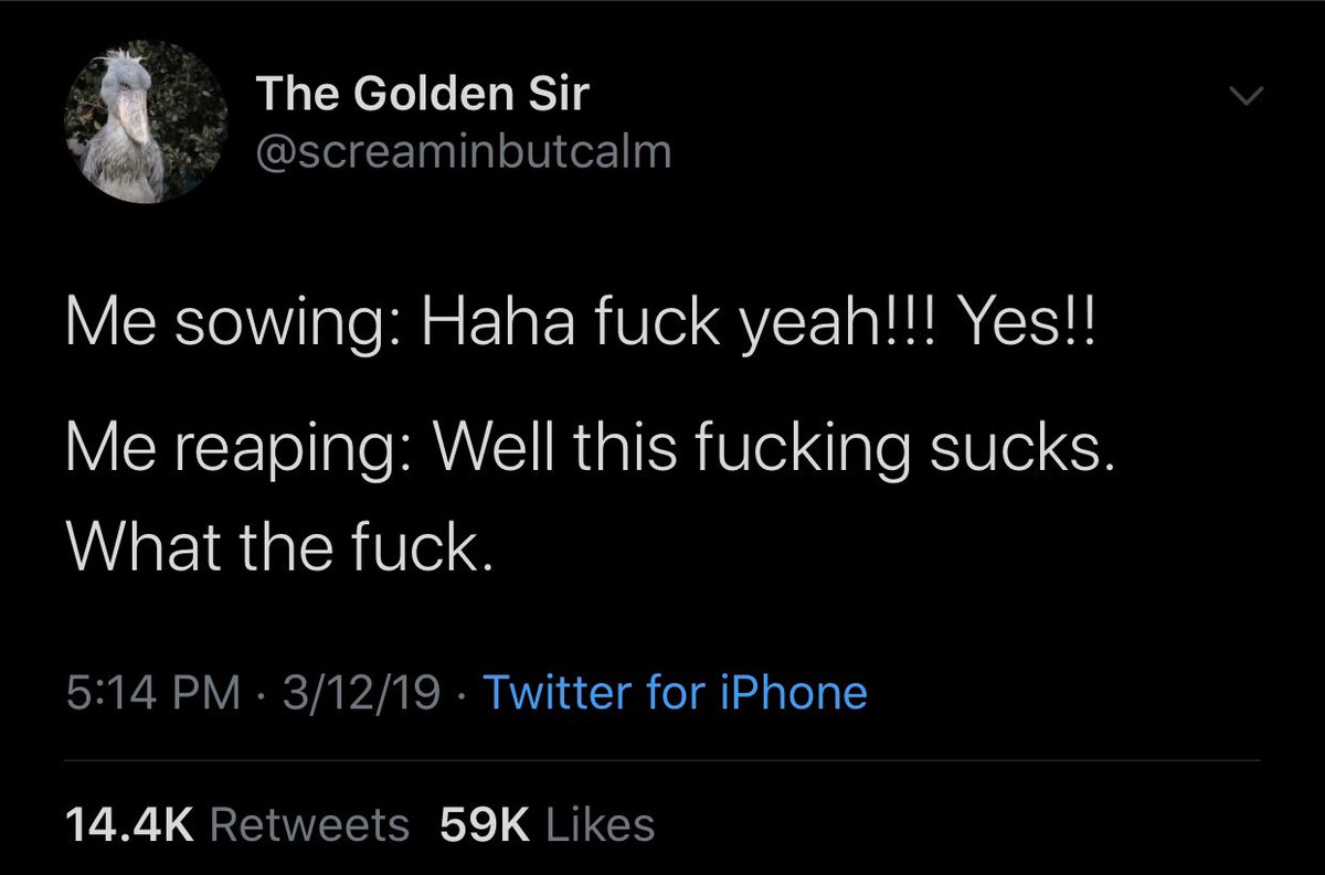 EUtQk-7WAAEChMs?format=jpg&name=medium