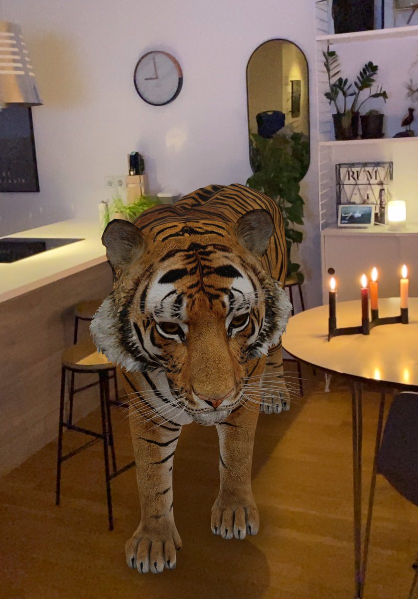 atliy's tweet photo. Þessi alveg smellpassar hérna heima. Ertu nokkuð með ofnæmi fyrir þessum? ⁦@aegirhelgason #viewin3D #google #tigerprince https://t.co/BNQOzOHlxv