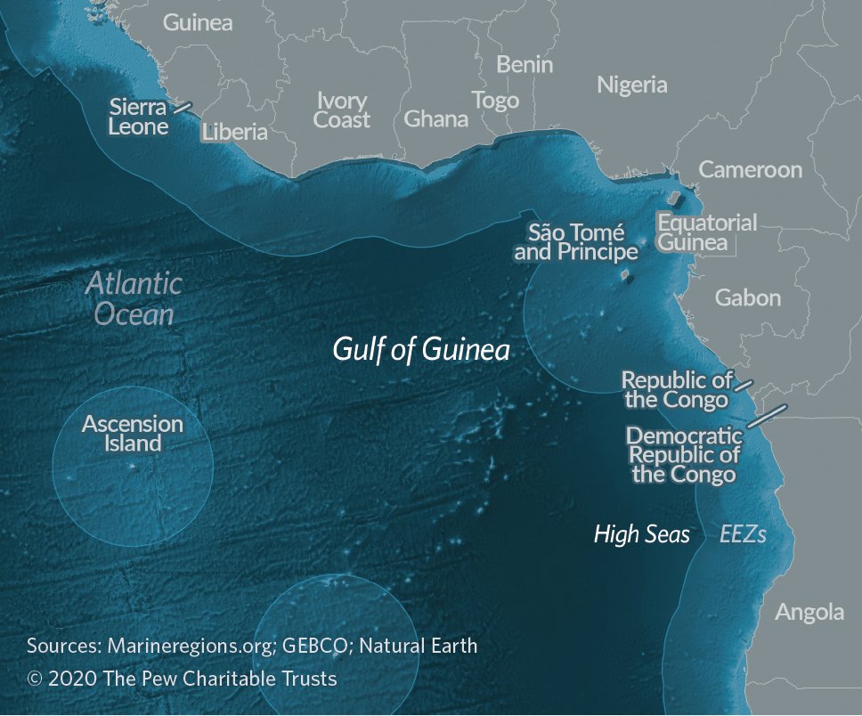  The Gulf of Guinea is a biological hot spot. Powerful upwelling and the convergence of three separate currents drive some of the highest levels of productivity in the high seas.Many species of tuna, swordfish, sharks, and rays all use these waters for their development.