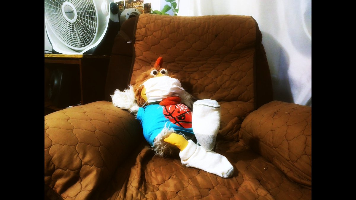 Hello. Chicken taking no chances. Please stay safe. Big hugs. #washyourhands #coronavid19 #coronavirus #mask #ny #chicken #animals #postivevibes #cute #pets #plushie #puppet #love #adorable