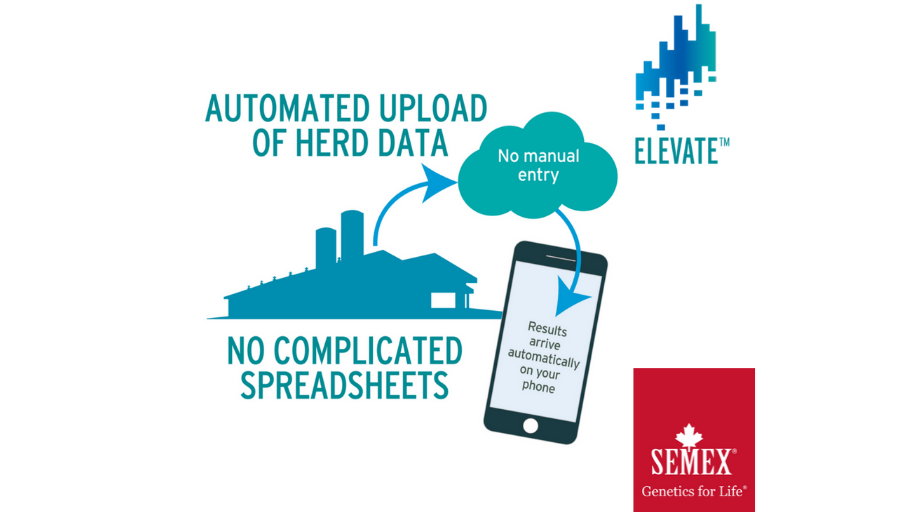 Semex's tweet photo. Real-time & Cloud-based... There's no easier way to genomic test! AND get exclusive Immunity female results! Ask your Semex representative about it today.
#semexsolutions https://t.co/VddkiTkhai