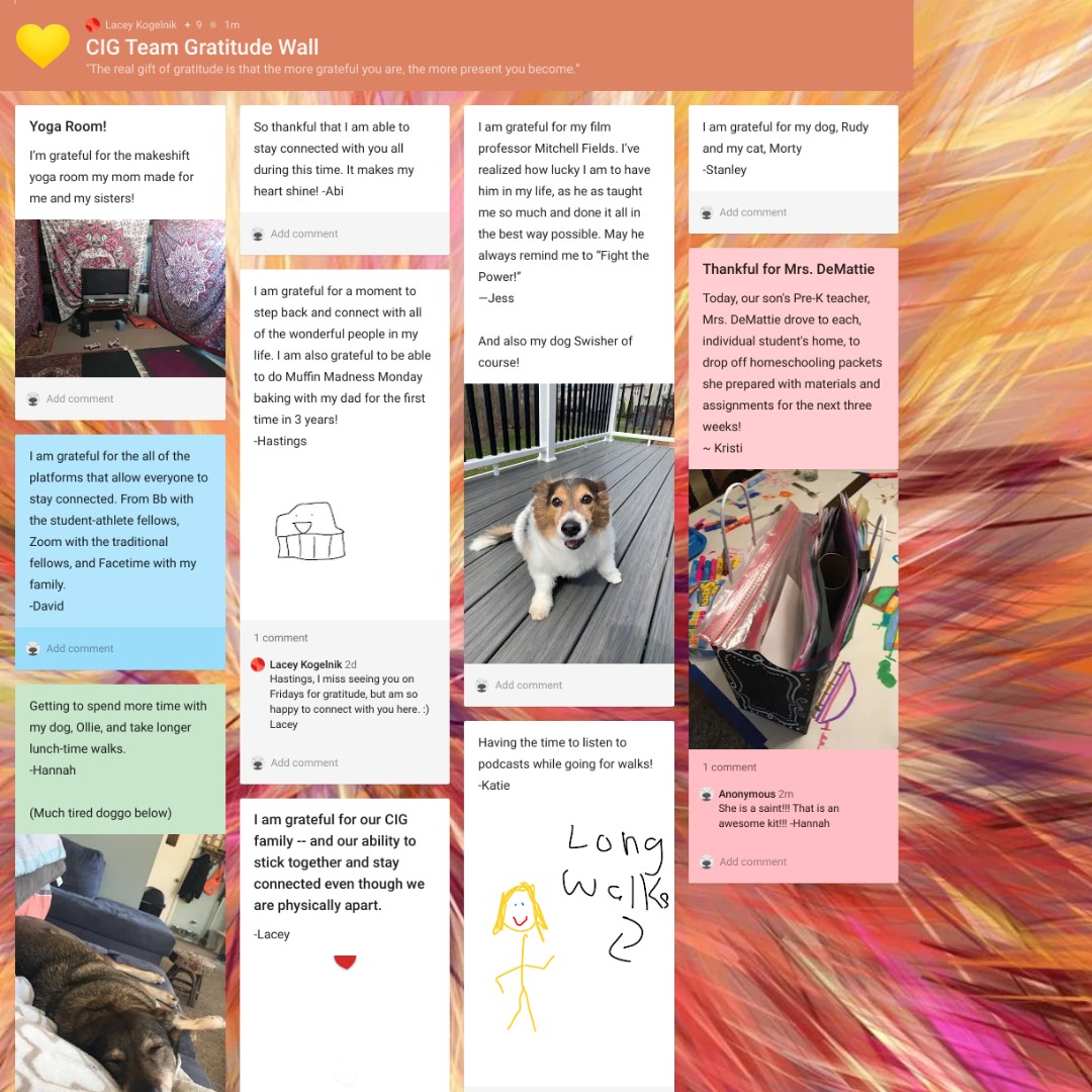 bwcig's tweet photo. A big shoutout to @padlet for providing us a tool to create a virtual #gratitude board for our #CIGFamily. Despite being in different places, we are grateful to stay connected and share with one another.
#gratitudewall #CIGgoesvirtual #connection #reflection #CIGInterns https://t.co/MkgySmx0os