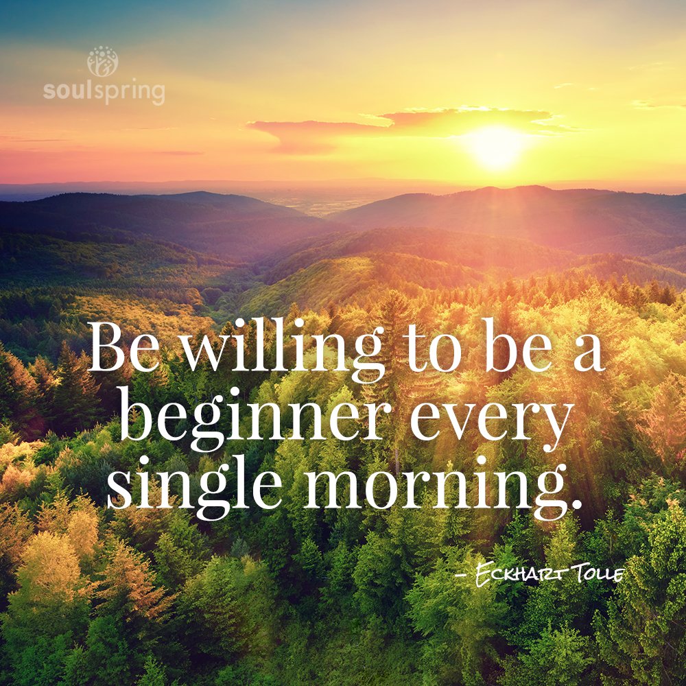 SoulSpringLife's tweet photo. Be willing to be a beginner every single morning. #eckharttolle #soulspringlife https://t.co/6ATZvfZrxG