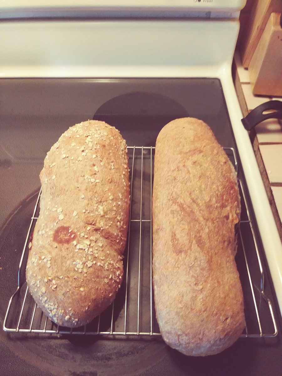 DaisyLayne1's tweet photo. First two loaves done. Left is Honey Oat and right is a chocolate cinnamon...#yummy #homemadebread https://t.co/yPfV3bOVdg
