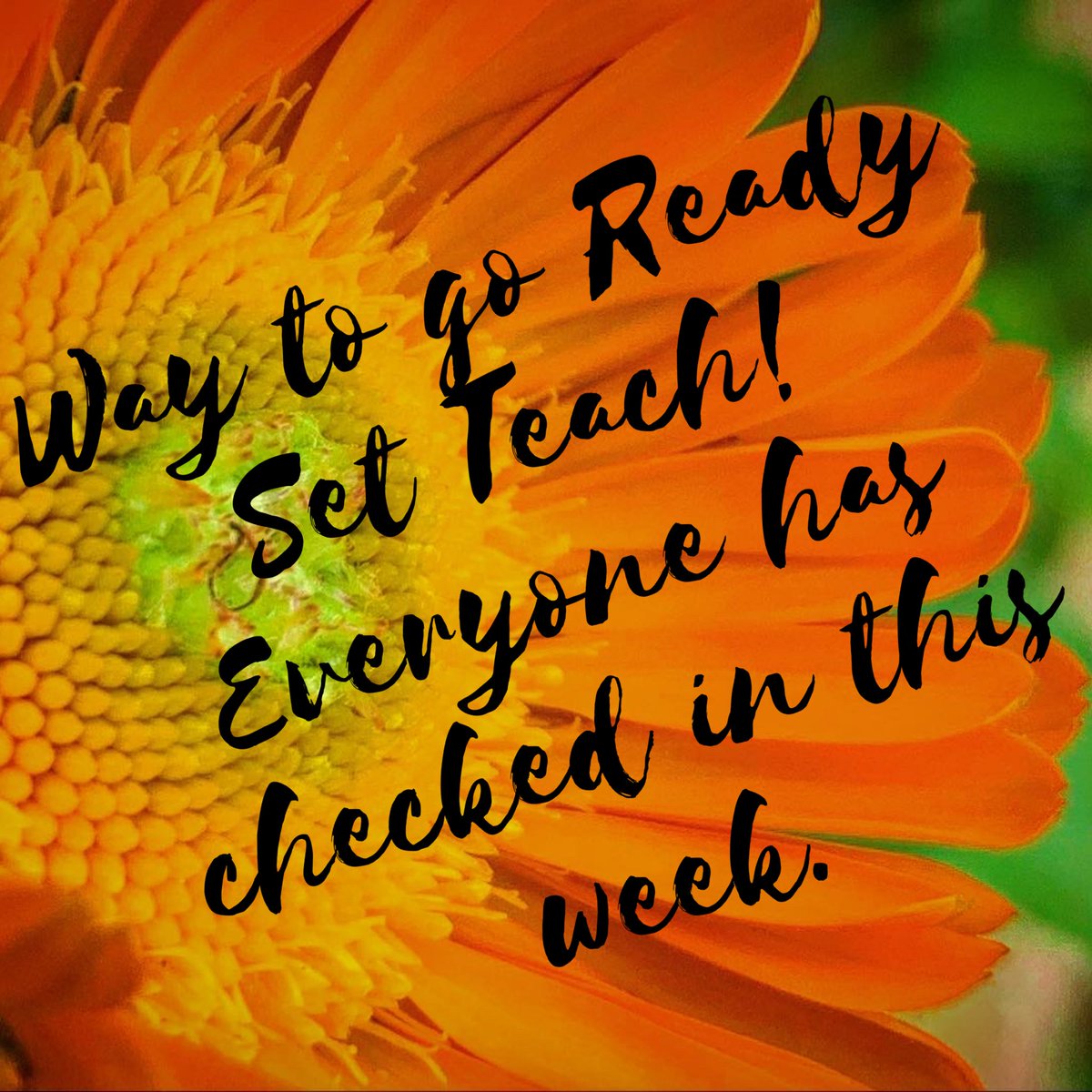 Ms. Beasley tweet media