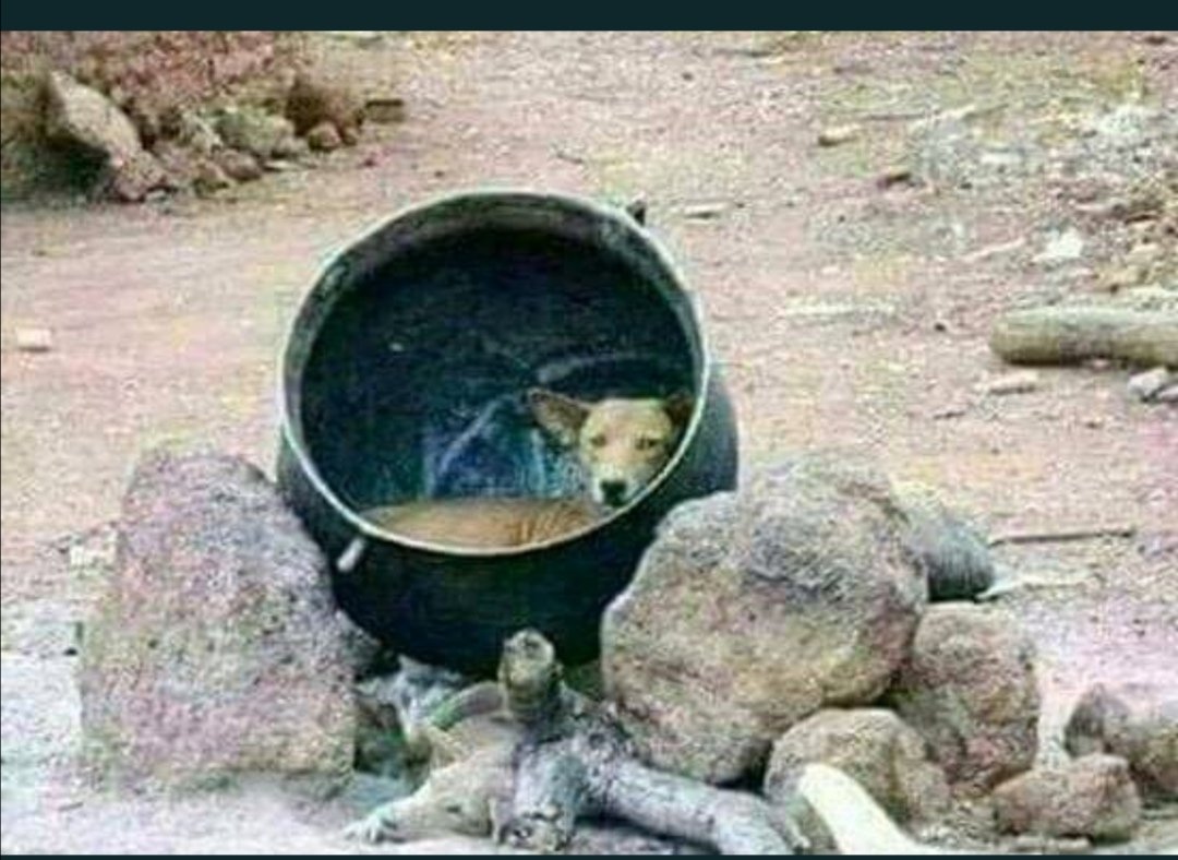 rmushaphi's tweet photo. Admin this is personal, are you ever gonna post my comments?  @ Dj Tira 🔥🔥🔥#LockdownHouseParty https://t.co/3qwoCeGYUQ