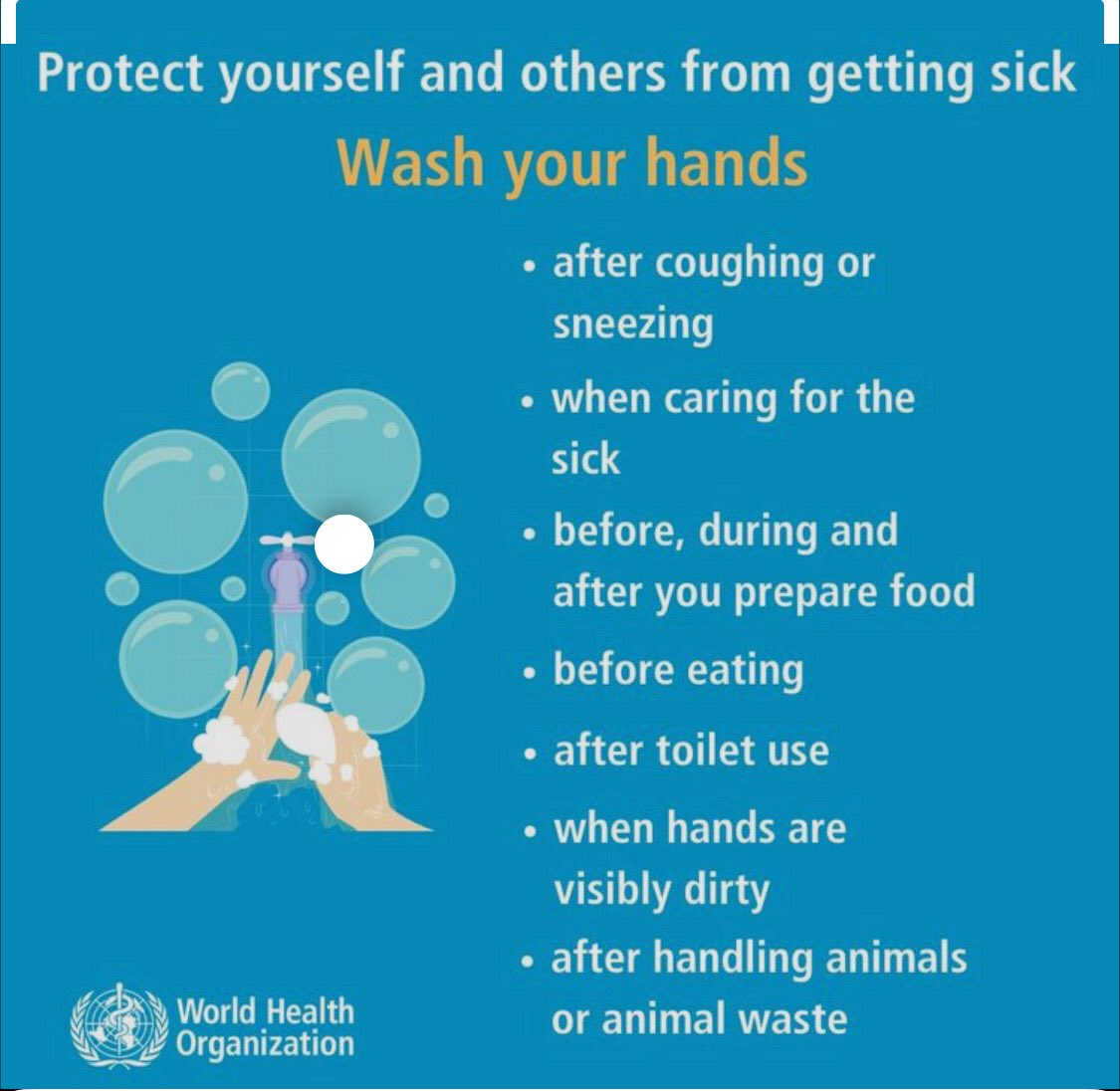 WileySHCW's tweet photo. Happy Friday!!!! Remember to always Protect yourself! Wash your hands,cover your mouth when coughing and sneezing! @WileySHCW @wc_saem @LibraryWiley https://t.co/63MwGoSIML