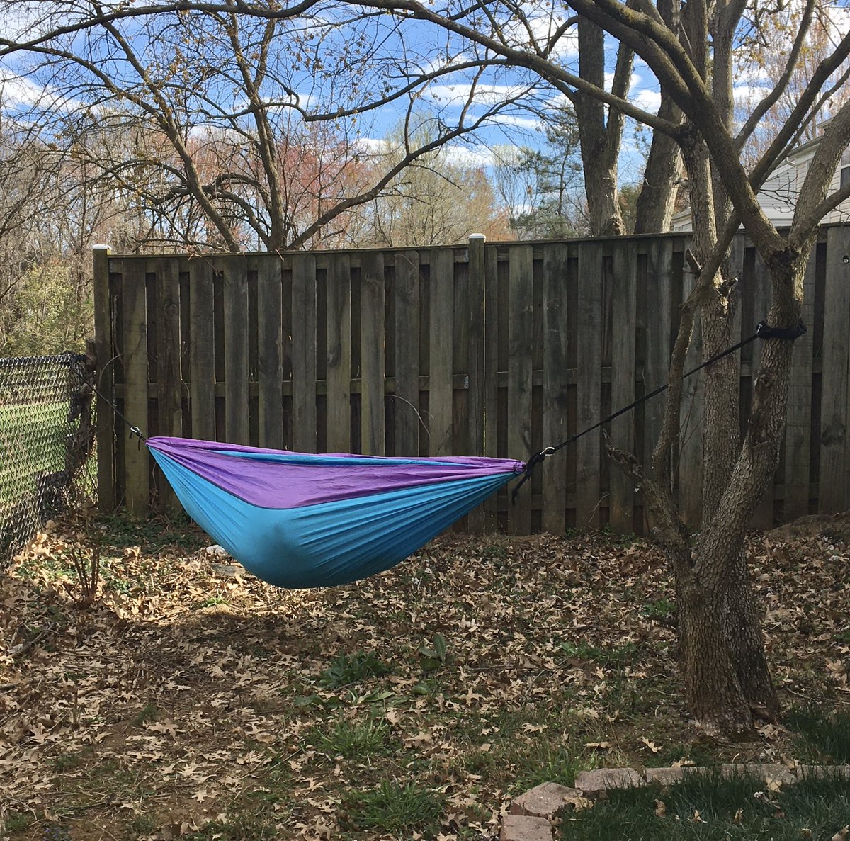 lorimeow's tweet photo. Not going to lie... I thought Kaitlyn’s hammock delivery from Amazon the other day was a little odd. Then I saw this in my backyard.
#SocialDistancingWin https://t.co/SmX3TeW8nX