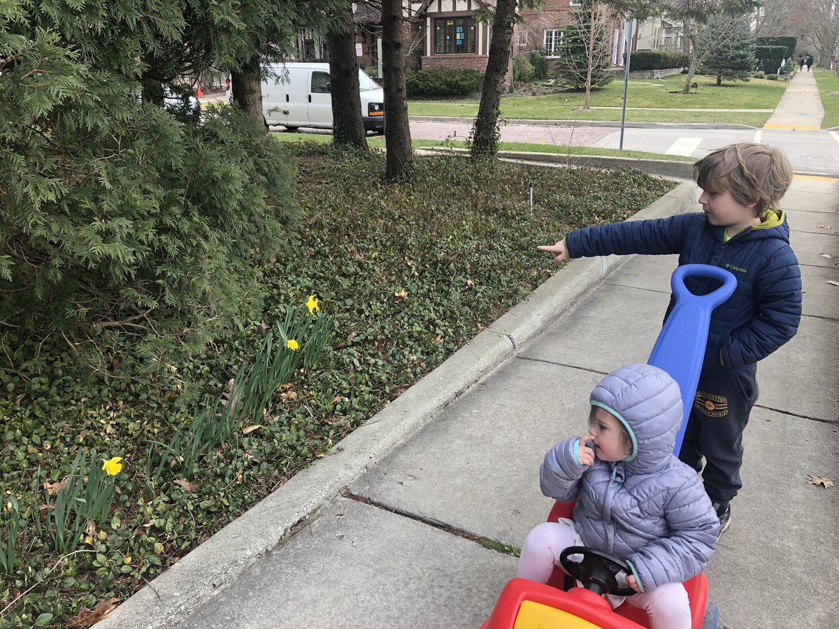 sfxvnderbosch's tweet photo. “Bloom where you are planted” 1 Cor 7:20-24. Signs of Spring @sfxvnderbosch @SFXWilmette https://t.co/5JFS7AkOA3