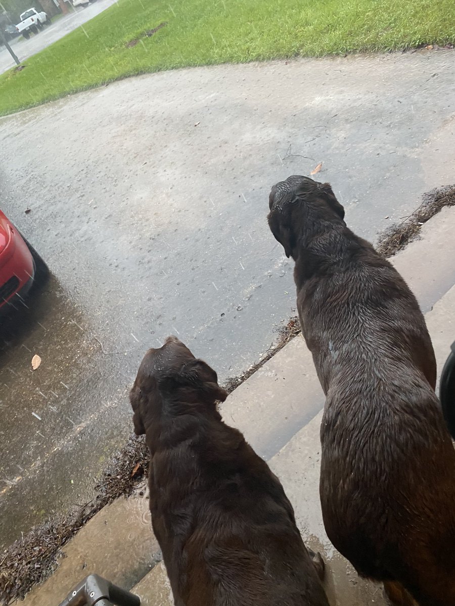 Even watching the rain fall with your loved ones can be a precious moment. @Patton_Pioneers @patton5thbush @OrensteinClass @mmassadaisd @motomom312 @angela_leu23 @KelleysCampers @AustinISDSEL @katiebecksc