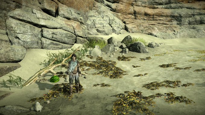 The ico easter egg from shadow of the colossus. God i had forgot how great this game is. And absolutely<a href="/tag/ps4share"class="tags"><span>#ps4share</span></a>