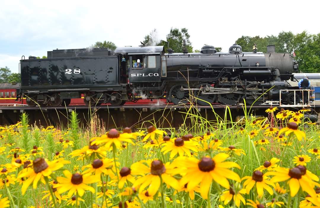 TexasStateRR's tweet image. A little springtime beauty from your friends at Texas State Railroad.  We will look forward to serving you on a future train ride. #Trainstrong #Texasstrong #TexasStateRR