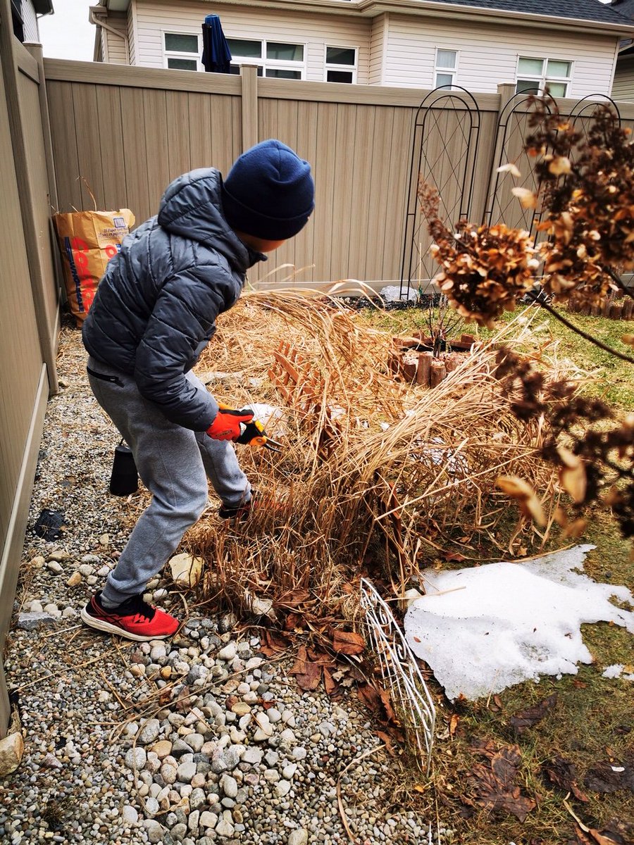 RochCarrierES's tweet photo. Baking and more yard work for @RochCarrierES students as we learn at home #RCESwatchmelearn
#ocdsbFlattenTheCurve https://t.co/rSCpoMSrSa