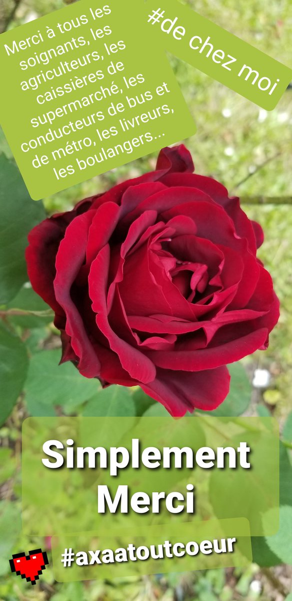 Malek CHELBI 🎀 tweet media